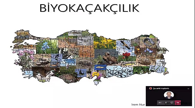 Zengin endemik çeşitlilik Türkiye’yi biyokaçakçılıkta hedef haline getiriyor