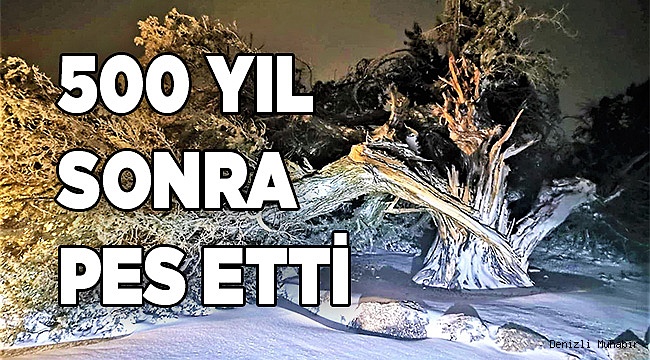 500 yıl sonra pes etti