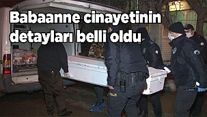 Babaanne cinayetinin detayları belli oldu