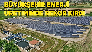 Büyükşehir güneş tarlalarından 2020'de rekor elektrik enerjisi