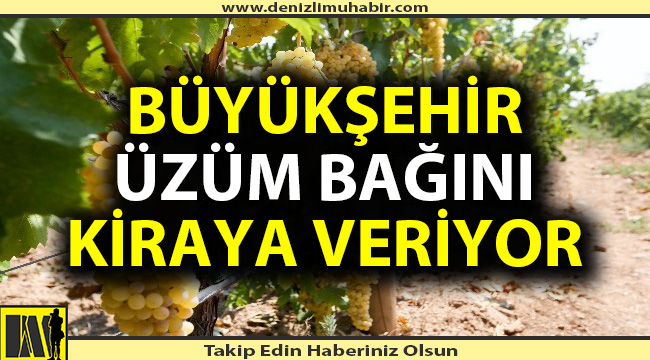 Denizli Büyükşehir Belediyesi taşınmazlarını kiraya verecek