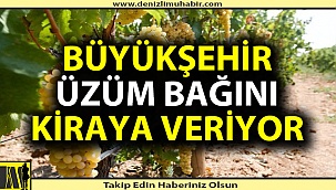 Denizli Büyükşehir Belediyesi taşınmazlarını kiraya verecek