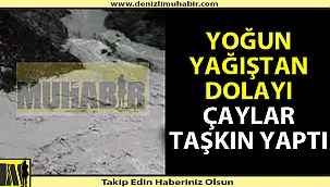 Denizli'de çay taşkın yaptı