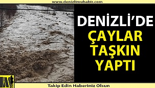 Denizli'de çaylar doldu taştı
