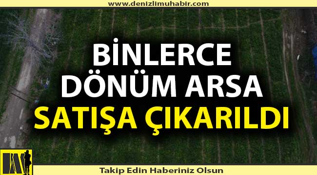 Denizli'de çok sayıda tarla icradan satılacak