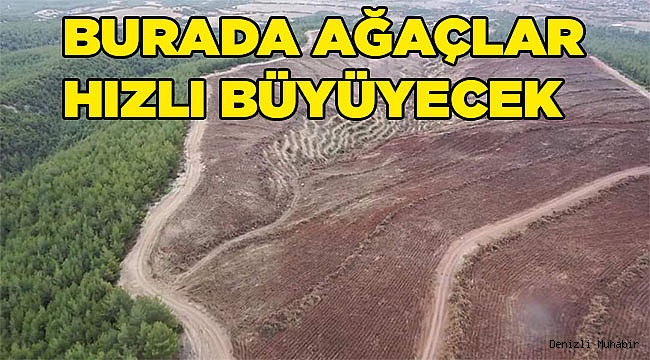 Denizli'de endüstriyel plantasyon sahası hazırlığı başladı