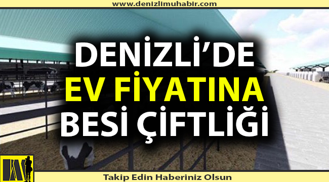 Denizli'de kelepir fiyata çiftlik satılacak