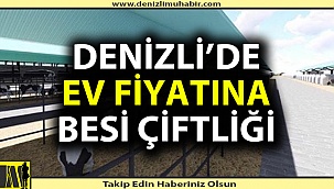 Denizli'de kelepir fiyata çiftlik satılacak