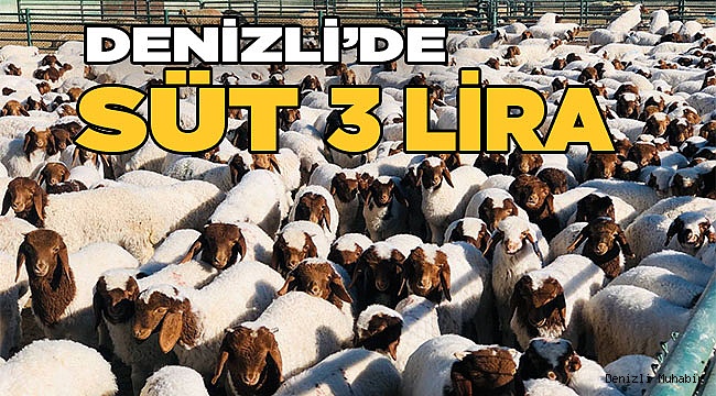 Denizli’de süt fiyatı 3 lira olarak belirlendi