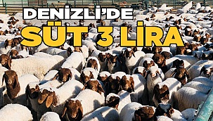 Denizli’de süt fiyatı 3 lira olarak belirlendi