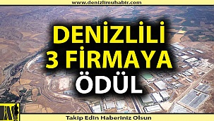 Denizli'den 3 firma en iyi 57 firma arasına girdi