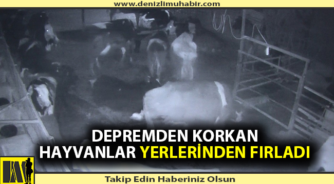 Depremi hissedince yerlerinden fırladılar