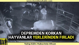 Depremi hissedince yerlerinden fırladılar