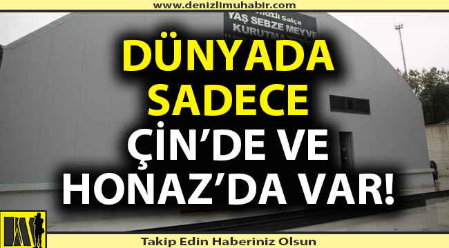 Dünyada sadece Çin’de ve Honaz’da var!