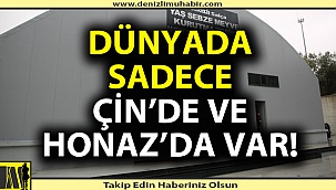 Dünyada sadece Çin’de ve Honaz’da var!