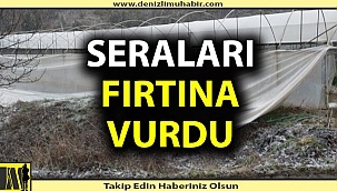 Fırtına seraları yıkıp geçti