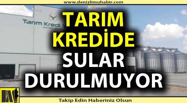 Genel Müdür Yardımcısı tazminatsız kovuldu