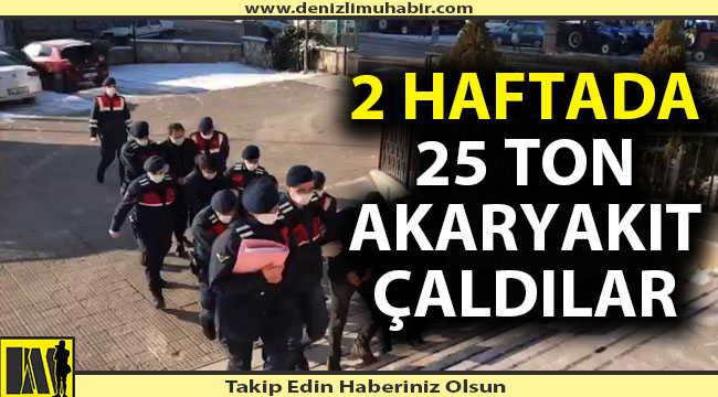 Hırsızlar JASAT'tan kaçamadı