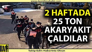 Hırsızlar JASAT'tan kaçamadı