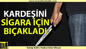 Sigara parası yüzünden kardeşine kıydı