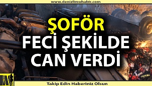Tır şoförü feci şekkilde can verdi