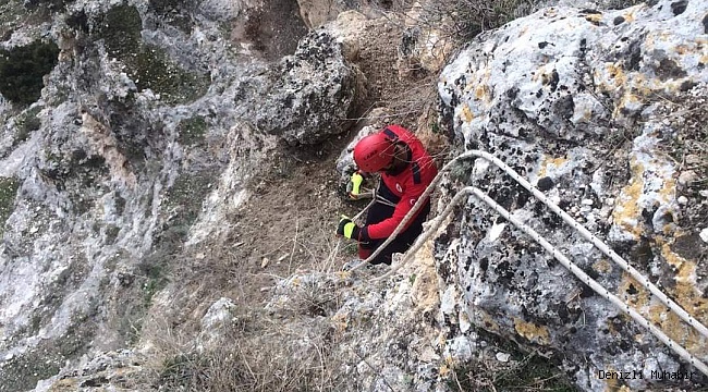 Yamaçta mahsur kalan keçilerin yardımına itfaiye koştu