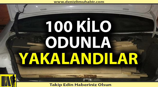 100 kilo odun çalmışlar