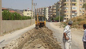 Başkan Şevik ilçe stadyumundaki ağaçlar konusunda açıklama yaptı