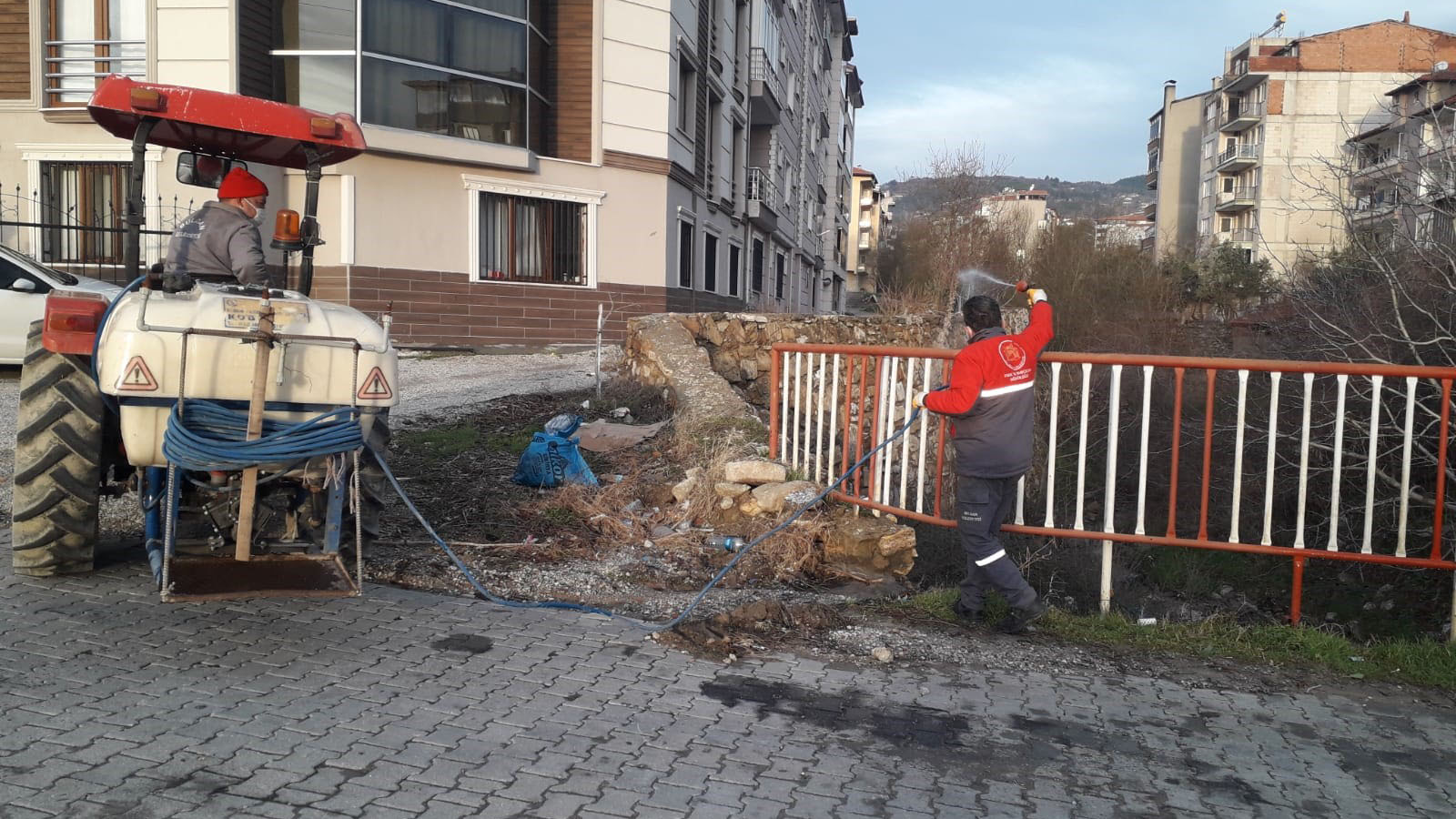 Belediye'den larva ilaçlaması