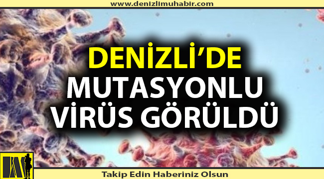 Denizli'de mutasyonlu virüs görüldü