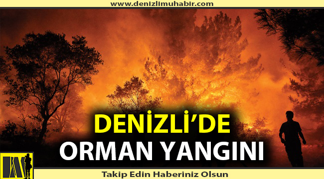 Denizli'de orman yangını