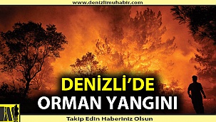Denizli'de orman yangını