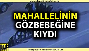 Dikkatsiz sürücü gözbebeklerini öldürdü