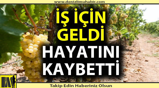 Ekmek davası için geldi, hayatını kaybetti