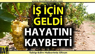 Ekmek davası için geldi, hayatını kaybetti