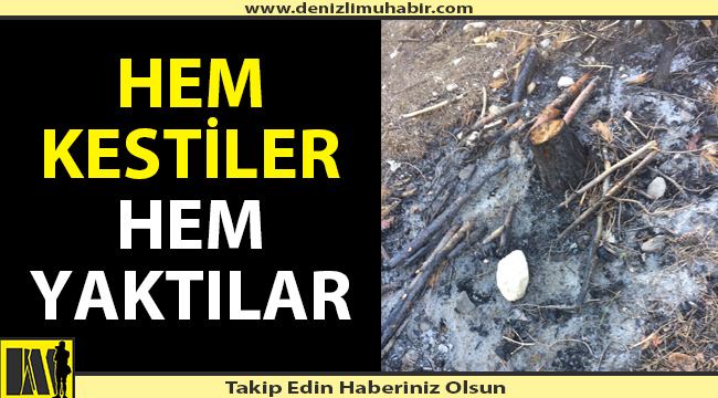 Hem kestiler hem yaktılar