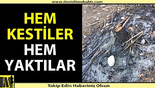 Hem kestiler hem yaktılar