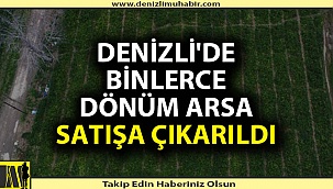 Honaz Belediyesi taşınmazlarını satıyor