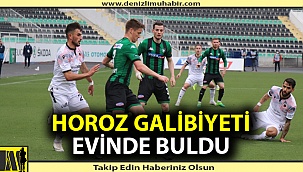 Horoz galibiyeti evinde buldu
