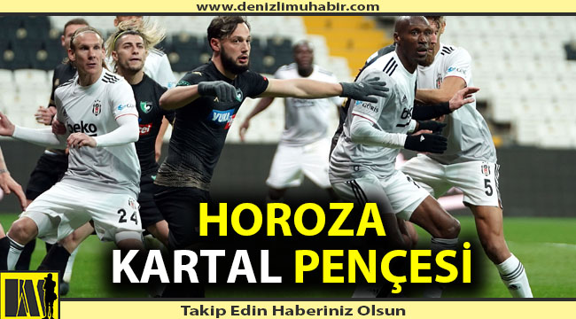 Horoza Kartal pençesi