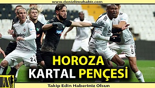 Horoza Kartal pençesi
