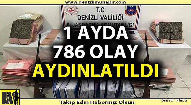 Jandarma 1 ayda 786 olayı aydınlattı