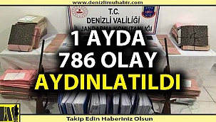 Jandarma 1 ayda 786 olayı aydınlattı