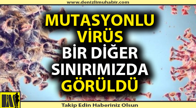 Mutasyonlu virüs Denizli'yi sardı