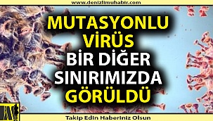 Mutasyonlu virüs Denizli'yi sardı