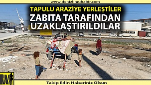 Romanlar 3. Sanayi'den uzaklaştırıldılar