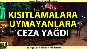 Tam 222 kişiye ceza yazıldı