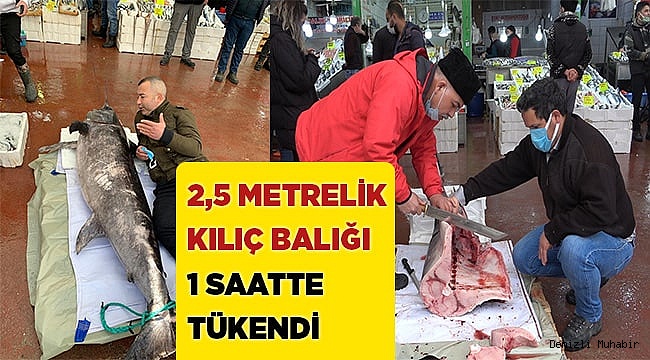 2,5 metre 98 kilogramlık kılıç balığı 1 saatte tükendi
