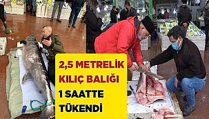 2,5 metre 98 kilogramlık kılıç balığı 1 saatte tükendi