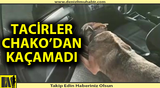 Arabanın ön kapısına zulalanan uyuşturucu maddesi Chako’ya yakalandı